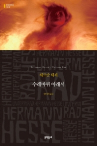 수레바퀴 아래서 (세계문학전집 102)